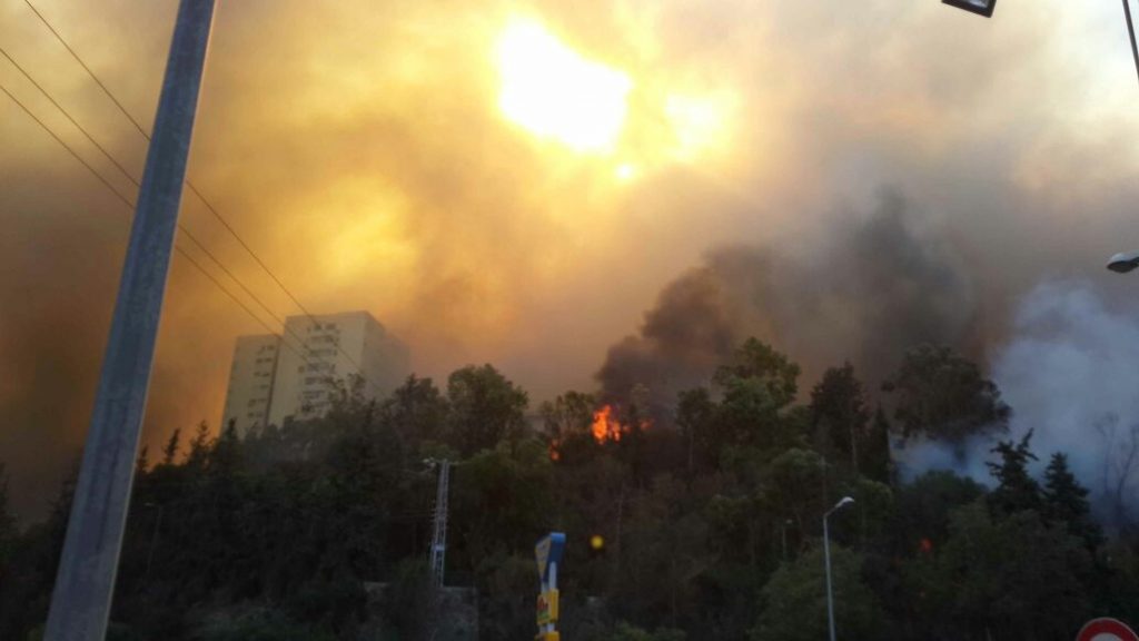 אינתיפאדת אש. הצתות ברחבי יו"ש. היישוב נווה צוף חלמיש פונה בשל שריפת ענק.