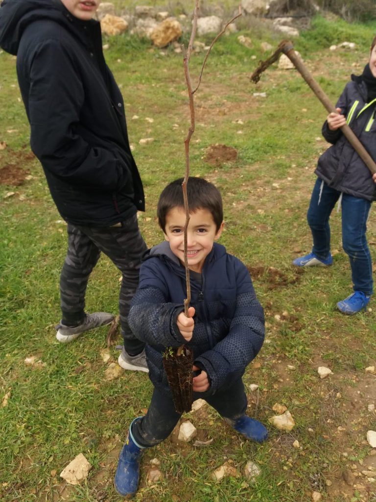 עולים ושותלים: ט"ו הגיע חג לאילנות בגוש עציון