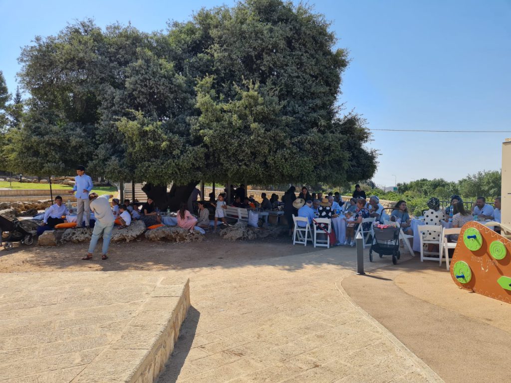 האלון הבודד גוש עציון