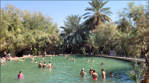עינות צוקים